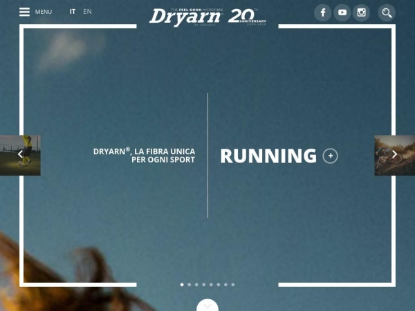 dryarn.com